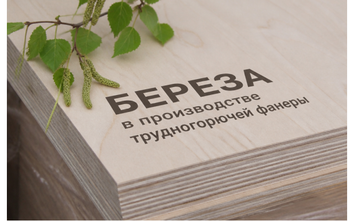 Береза в производстве трудногорючей фанеры